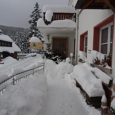 Haus Sommerberg Feldberg  Exterior foto